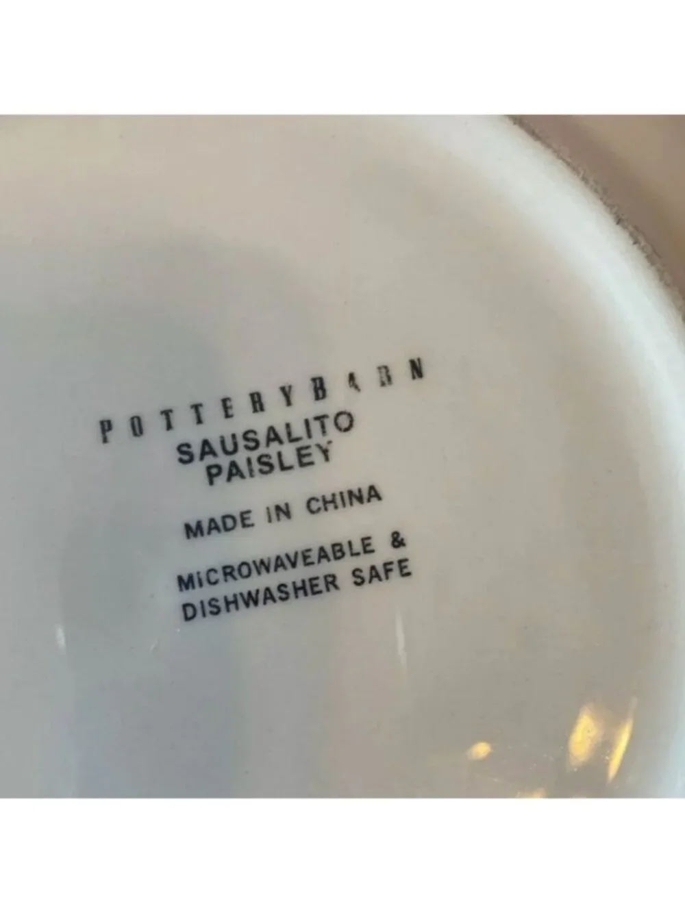 Pottery Barn Dinner Plate Bowl Sausalito Paisley 12.5 Pasta Cream Red Green